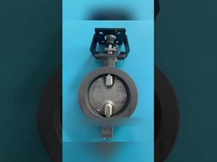 Cos' è una valvola motrice a farfalla