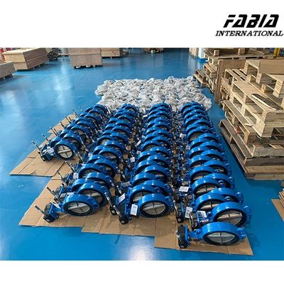 8 pollici Worm Gear Butterfly Valve affidabile sigillamento per il trattamento dell'acqua industria del gas naturale